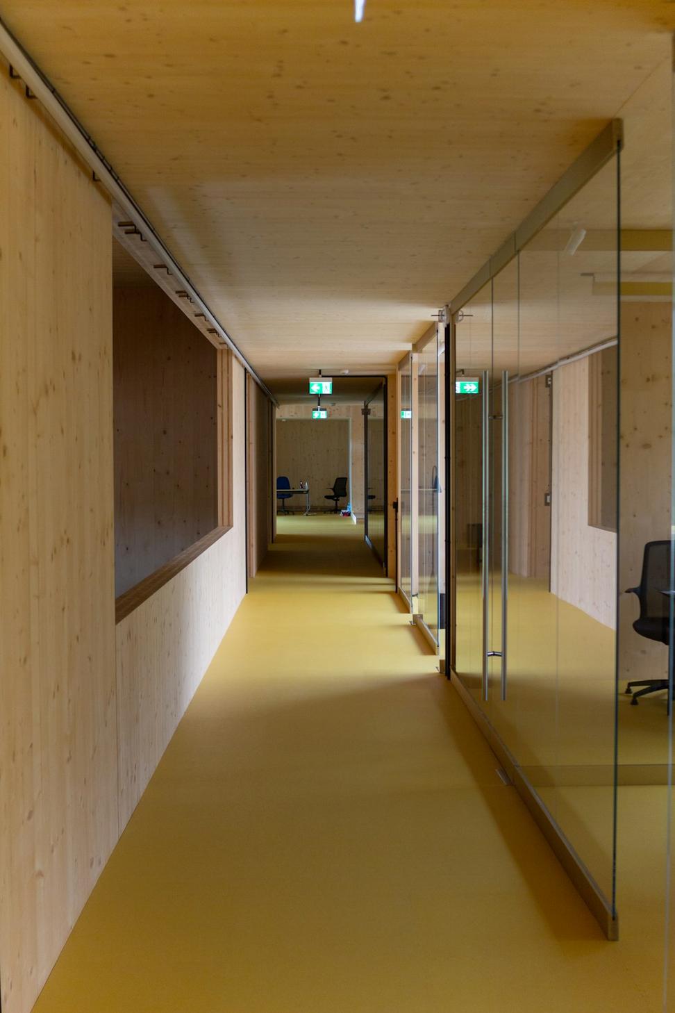 Pyreveil Studio